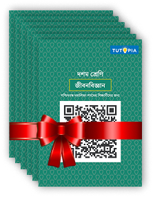 Tutopia Smart Notes – Buy Class Notes for Smarter Learning